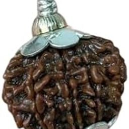 High Rated Aath Mukhi Rudraksha Original Certified Nepali Eight Faced Rudraksh 8 मुखी नेपाली असली रुद्राक्ष 8 Mukhi Rudraksha Pendant Athmukhi Rudraksha Blessed By Lord Ganesha-54