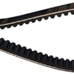 Jupiter/Wego Scooter Clutch V-Belt-image-10
