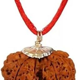 BluDiamond IGL Cerftified Gori Shankar Rudraksha गौरी शंकर रुद्राक्ष Original Nepal Naturally Joined Rudraksha Natural Combined Rudraksha Brown Gawri Shankar Rudraksha Pendant For Men-15