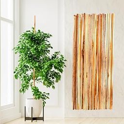 INNOVATE360 3 feet Premium Natural Teak Wood Plant Support Sticks - Garden Sticks for Straightening Training and Supporting Plants - Strong and Durable Solution for Healthy Growth (12 pcs)-image-91