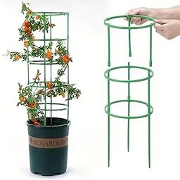 Kunya Plant Support - 3 Layer Stakes & Ring Plastic Plant Cage Holder for Flower Pots, Climbing & Vegetable Trellis (Pack of 1)-picture-17