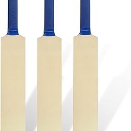 Troft Miniature Bat Autograph for Show Piece and Gift Purpose Souvenir Bat (They Can't Be Used for Playing Cricket) - Wood-image-52