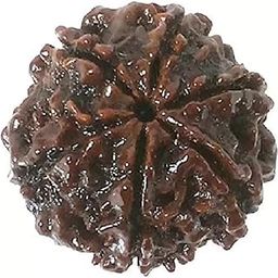 6 Mukhi Pure Rudraksha bead,Certified, /Original Six Mukhi Rudraksh bead/Natural Six faced Rudraksha bead (Brown) with Certificate and Puja Instructionsx25-picture-20