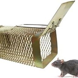 Duomus Rat ! Mouse ! Rodent Iron Cage Trap Set Of 1 Medium-image-74