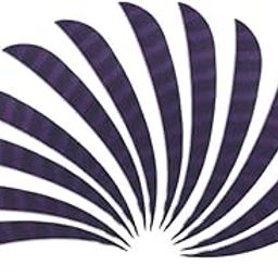 MILAAN 12pcs 4inch Archery Feathers Fletches Right Wing Parabolic Cut Shape Purple (66020521MLN)-picture-13