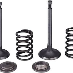 SADAIV NIPUN Powered by GX35 Brush Cutter Parts Valve Set GX35 for All Type Earth Auger, Brush Cutter, Power spayer-14