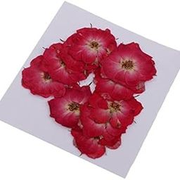 MERISHOPP®2x10 Pcs Dried Pressed Flowers for DIY Scrapbooking Crafts Red Rose|Crafts | Home Arts & Crafts | Floral Crafts | Dried Botanicals & Potpourri-image-62