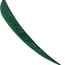 12pcs 3inch Archery Arrow Turkey Feathers Fletchings Vanes Dark Green-image-28