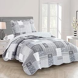 Brilliant Sunshine Gray Heart with Floral Patchwork, 2-Piece Quilt Set, Reversible Bedspread, Lightweight Coverlet, All-Season, Twin, Gray-image-44
