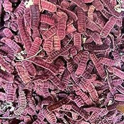 Shudhveda All Skin Type, Herbal Raw Shikakai Dried (1Kg) Natural Shikakai Ancient/Acacia Concinna, (1 Count)-45