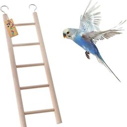Western Era 5 Stairs Fun Natural Wooden Ladder Toy for Training, with Hooks, Designed for Birds, Parrot, Budgies and Other Small, Medium Large Bird (26cm)-59