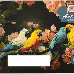 FIRST CLICK A4 Sketchbook, 40 Pages, 120 GSM Paper, Spiral Bound Art Notebook for Kids Students Watercolor 1 Notebook. The Cover Designs of Notebook Coming as per Stock Available.-56