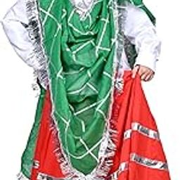 DESI ANDAAZ Haryanvi Dress For Girls Kids Indian State Folk Dance Kids Fancy Dress Costume-image-85