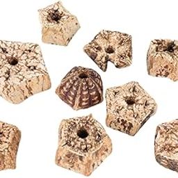 JOYNAGAR 30 Piece Mahogany Pods Slice | Wooden Parrot Toys for Beak Health and Avian Enrichment-image-46