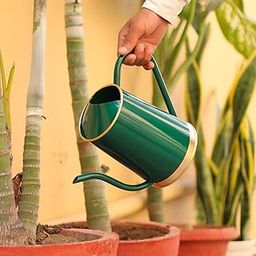 Urban Plant Metal Watering Can for Indoor & Outdoor Use | Best for Home Gardening | Terrace Garden Accessories | Watering Can with Long Spout - 1.5ltr (Green)-image-56