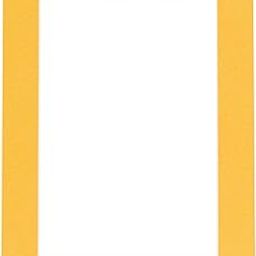 16x20 Topaz Orange Frame Mat Bevel Cut for 12x16 Photos - Acid Free Topaz Orange Precut Matboard - for Pictures, Photos, Framing - 4-ply Thickness-image-91