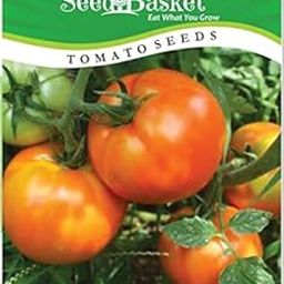 Seed Basket Native/Non-GMO Tomato Seeds for Home Gardening (400 Seeds with More than 70% Germination) And Instruction Manual-image-78
