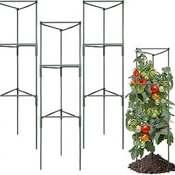 FOX & FERN Pack of 1 Vegetable Trellis (30x30x150cm) Garden Plant Support/Cages/Stakes for Climbing Plants, Flowers, Fruits, Vine, Garden Trellis with 3 Adjustable Cable Ring (TMC60GR) (Pack of 1)-image-54