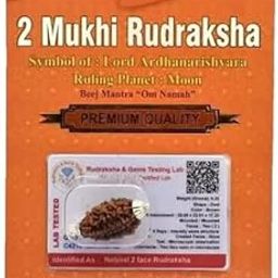 SriMaa Ventures 2 Mukhi Rudraksha Original Certified Nepali AAA+++ Quality Natural Two Face 2 Mukhi Rudraksha-image-49