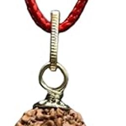 Nepali Rudraksha Mantra Siddha Rudraksh Pendant Certified-picture-15