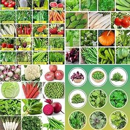 Home garden combo vegetable seeds beez, Exotic Hybrid vegetable seeds Mix organic vegetable seeds 200-image-29