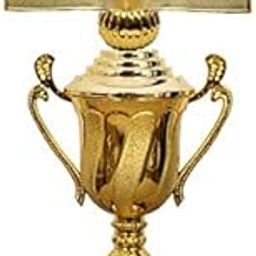 Be Win Winner Golden Fiber Open Book Trophy for Sports, Event & Functions-picture-11