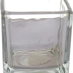 Fourwalls Square Glass Vase (1 cm x 1 cm x 5 cm, Transparent, GV SQ 2X2-R702-145)-image-37