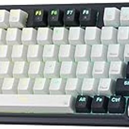 Redragon K673 PRO 75% Wireless Gasket RGB Gaming Keyboard, 3-Modes 81 Keys Compact Mechanical Keyboard w/Hot-Swap Socket, Dedicated Knob Control & Sound Absorbing Pads, Linear Red Switch-image-83