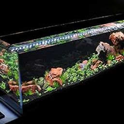Big Size Fish Tank Aqua Habitat Aquarium 24 Litre,9x9x18 Inches(Colour May Vary,)(Glass Tank ONLY)-32