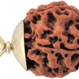 BluDiamond Char Mukhi Rudraksha Pendant 4 Face Rudraksha Original Certified चार मुखी रुद्राक्ष Four Face Rudraksha Nepali Bead 4 Mukhi Rudraksha Blessing Lord Brahma-picture-12