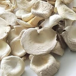 Dry Oyster Mushroom 100 Gm-28