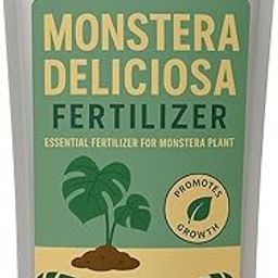 Monstera Plant Fertilizer – Organic Granular Growth Booster for Big Leaves & Strong Roots | Ideal for Deliciosa & Variegated Types | Indoor Plant Care (250 GRAM)-picture-22