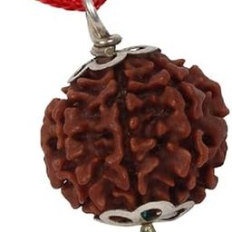BluDiamond Original Certified 7 Mukhi Rudraksha Pendant सात मुखी ओरिजिनल नेपाली रुद्राक्ष 7 Face Rudraksh Nepal Pure Seven Mukhii Rudraksa 7 मुखी रुद्राक्ष Saat Mukhe Rudrakha For Men-picture-9