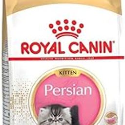 Royal Canin Persian Kitten Dry Cat Food, Chicken, 2 Kg-image-50