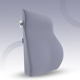 CareFoam Back Support for Office Chair, Memory Foam Back Rest for Office Chair, Chair Back Support for Back Pain Relief, for Office/Home Chair & Car Seat, Removable Cover (Grayish Blue, Large)-image-69