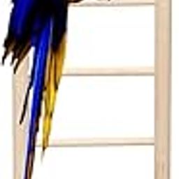 Natural Wood Ladder for Birds, Playful Climbing Cage Hanging Ladder Toy to Decorate Bird Cage (36cm - 8 Steps)-picture-13