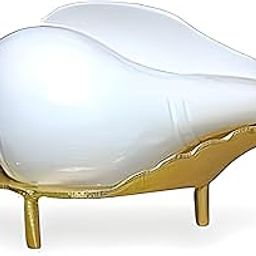 Non Blowing Conch with Brass Stand for Pooja | Paani Wala Shankh with Pittal ka Daani | Jol Shankh with Stand for Puja | Natural White Conch Shell for Puja, Decor & Spiritual Use-22