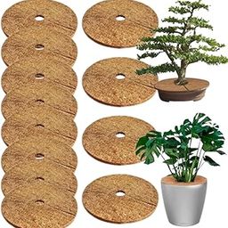DEEGAA MART Coconut Tree Mulch Ring, Coco Coir Fiber Tree Protector Mat, Tree Ring Mats Tree Disc Plant Cover for Indoor or Outdoor 8 inch,10 Nos-image-4