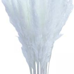 HEAVENGLOW 3x15x Dried Pampas Grass Phragmites Reed Flower Bunch Home Wedding Decor Gift White-image-55