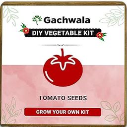 Vegetable Grow Kit | Tomatto seed - DIY Grow it Yourself Gardening Kit for Home and Garden | Tomato Seeds Gardening Kit-image-63