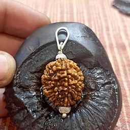 All Stone 2 Mukhi Rudraksha Original Certified Nepali Two Faced Rudraksha 2 Mukhi Kaju Dana Rudraksha Do Mukhi Rudraksha Two Faced Rudraksha Du Mukhi Rudraksh for Men Women 2 मुखी रुद्राक्ष नेपाल-24