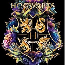 TREXEE Diamond Painting Kit (30X40CM) Harry Potter Diamond Painting Rhinestone Embroidery Pictures Diamond Painting for Adults & Kids for Art Wall Decor Gift for Kids and Adults (Multi-colour)-image-87