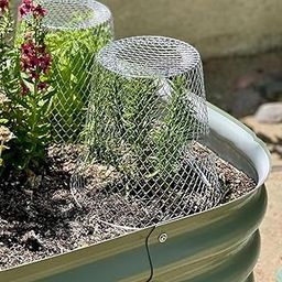 Enakshi® Garden Plant Cloche Reusable Lightweight Metal Landscape Plant Cover|Yard, Garden & Outdoor Living | Gardening Supplies | Plant Care, Soil & Accessories | Baskets, Pots & Window Boxes-image-95