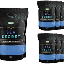 IFFCO Urban Gardens - Sea Secret - 4.5Kg (500gm X Pack of 9) - Seaweed Extract Granules - Organic Plant Growth Promoter & Bio-Stimulant-image-11