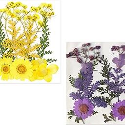 YellowCult Natural Real Dried & PRESSED Flowers Combo Sheets for Art Craft - Mixed, Multicolor for Soap, Candle, Scrapbooking, DIY, Resin Jewelry, Pendant - [Assorted: Yellow Flowers Sheet & Purple Flowers Sheet Combo]-image-25
