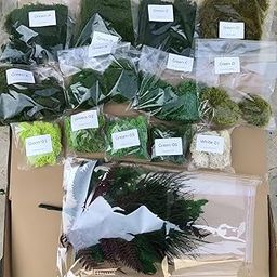 Prefleur DIY Crafts Assorted Moss Kit Mixed Preserved Stabilized Moss Pillow Cushion Natural Green Real Decoration Sample-image-55