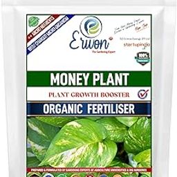 Erwon® Money Plant Growth Booster, Premium Essential Powerful Organic Fertilizer for Overall Growth of Money Plants, with Charged Micro-organism and ++ Micronutrients (400 gm)-image-35