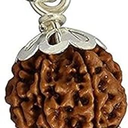 7 Mukhi Rudraksha Silver Pendant Certificate Nepali Seven Mukhi Rudraksha with X-Ray Testing Report-picture-17