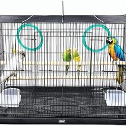 Buraq 24 Inch Bird Cage Best for Lovebird, Parrot, Parakeet, Budgie, Cockatiel Cage Hammock Small Large Bird Cage with Birds Cage Accessories (24 Inch - Multicolor)-image-26