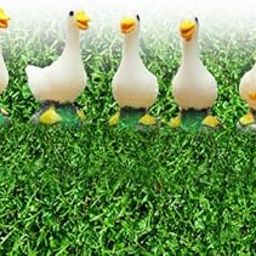 Bloom Bagicha Miniature Ducks for Fairy Garden/Landscaping/Tray Gardening/Terrariums - Set of 5pcs-picture-10